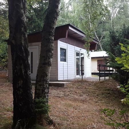 Bungalowdorf Klein Budelsdorf Альтенберг Экстерьер фото